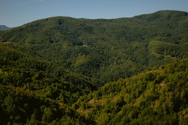 Quelles sont les innovations technologiques les plus prometteuses de cette année ?